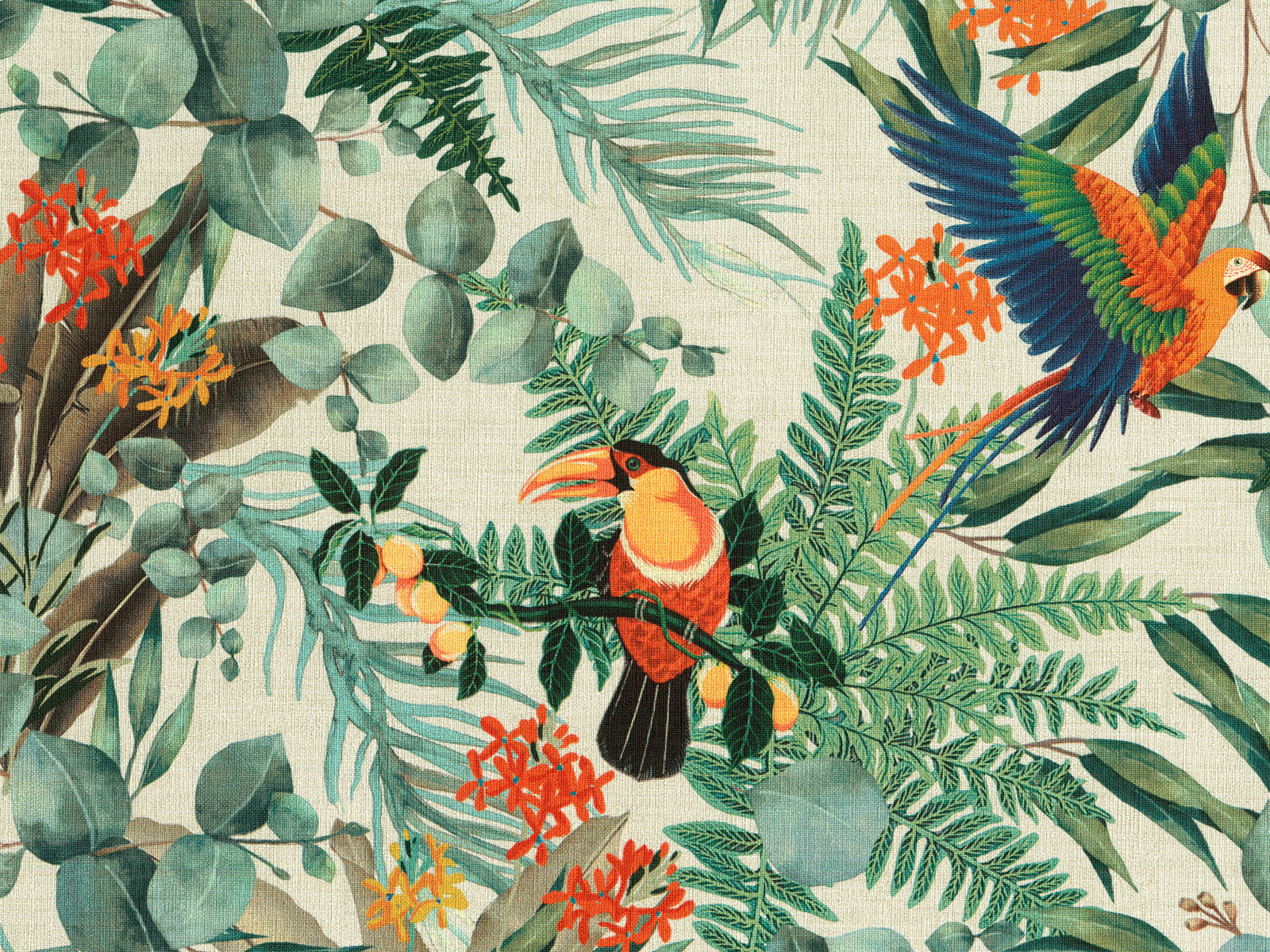 HookedOnWalls Lemuria Parrot - 60620