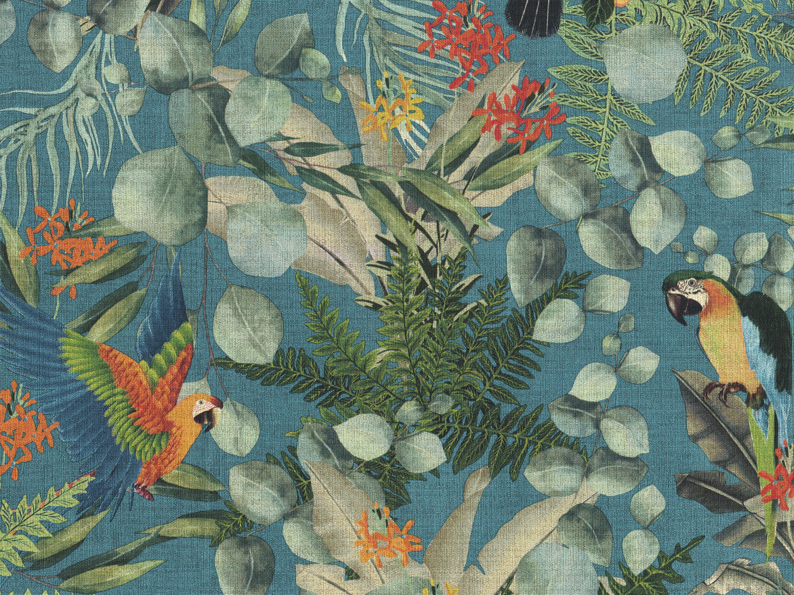 HookedOnWalls Lemuria Parrot - 60622