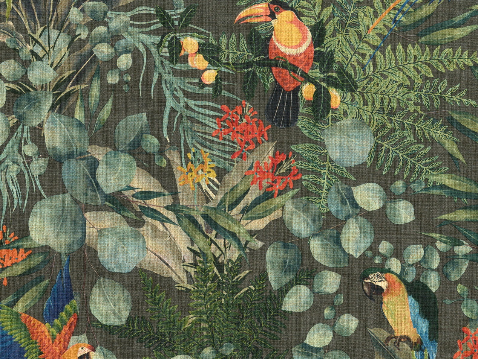 HookedOnWalls Lemuria Parrot - 60623