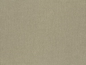 HookedOnWalls Lemuria Baobab - 60632