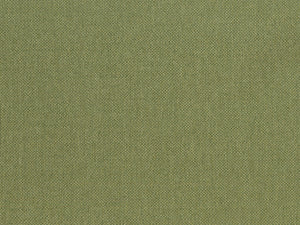 HookedOnWalls Lemuria Baobab - 60635