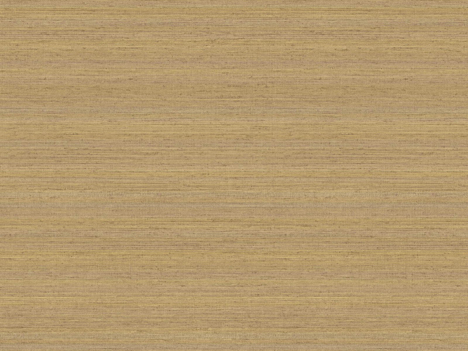 HookedOnWalls JV 602 Jaipur Uni Soie Tropical Metallic - 6855