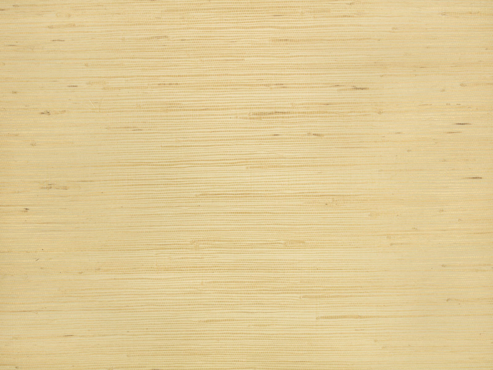 Kirkby Design Wallcoverings Vol. 1 Glade - Desert WK812/03