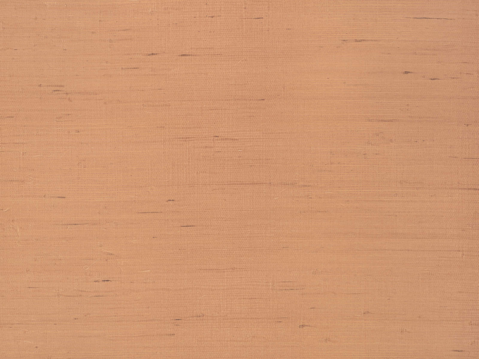 Kirkby Design Wallcoverings Vol. 1 Glade - Sienna WK812/04