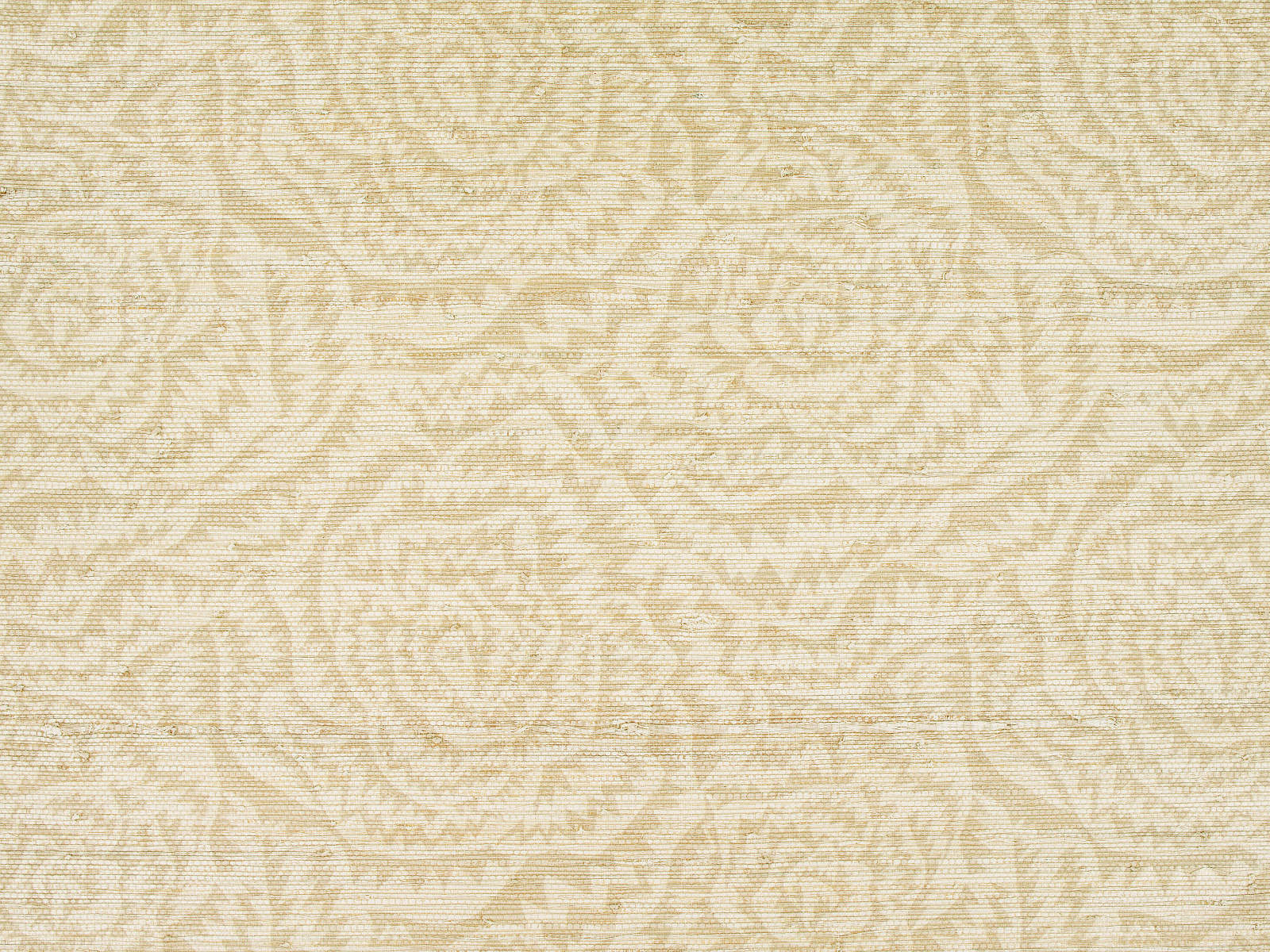 Kirkby Design x Eley Kishimoto Edition II Wallcoverings Jagged Roses - Natural - WK821/02