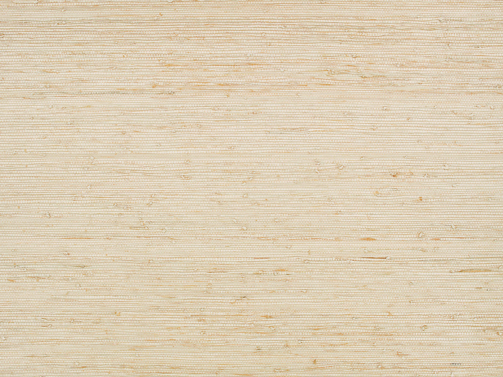 Kirkby Design x Eley Kishimoto Edition II Wallcoverings Solid - Natural - WK822/02