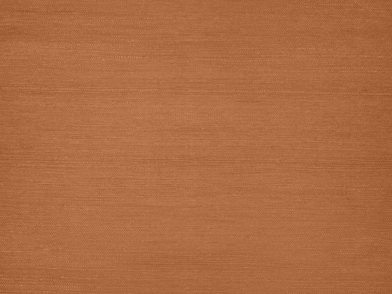 Kirkby Design x Eley Kishimoto Edition II Wallcoverings Solid - Burnt Orange - WK822/04