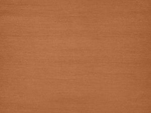 Kirkby Design x Eley Kishimoto Edition II Wallcoverings Solid - Burnt Orange - WK822/04