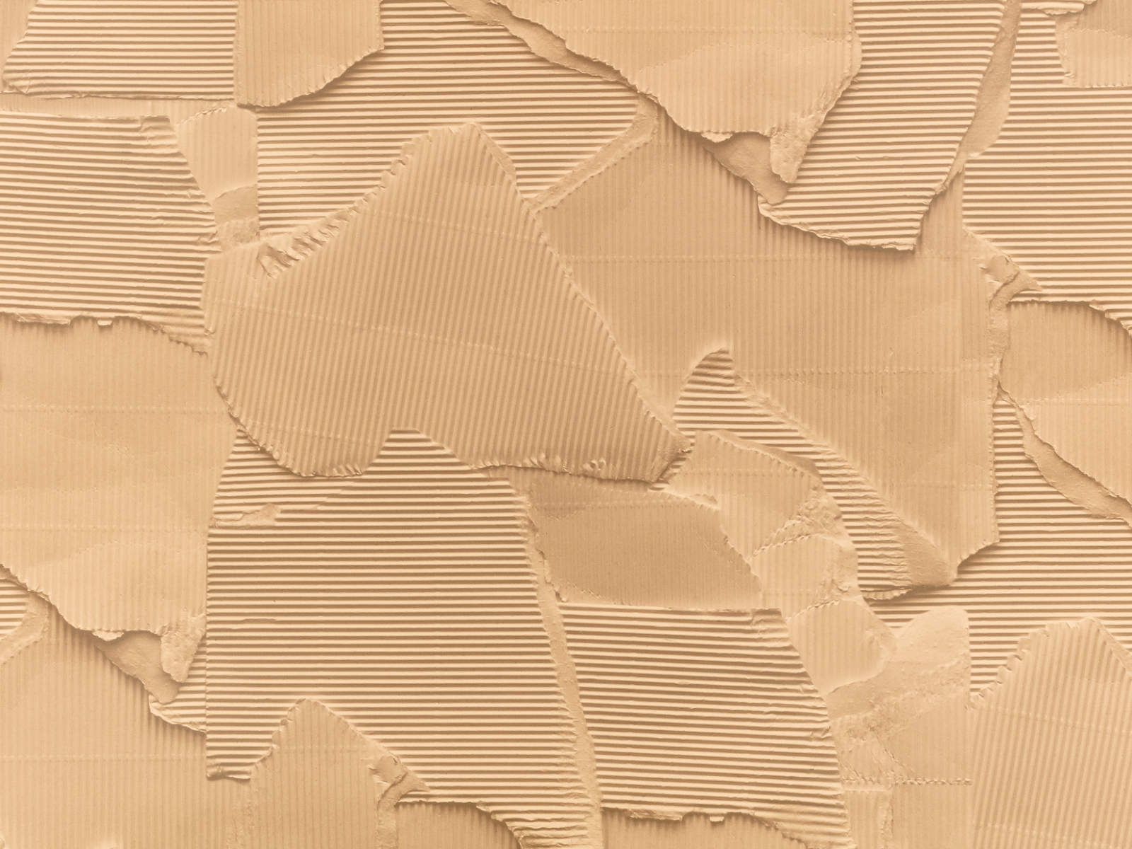 Kirkby Design Wallcoverings Vol. 2 Tear - Cardboard - WK823/02