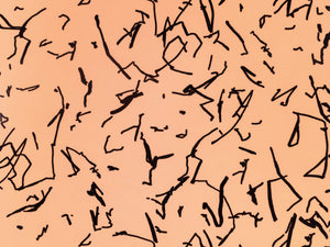 Kirkby Design Wallcoverings Vol. 2 Scribble - Amber - WK824/06