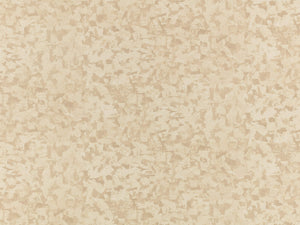 Kirkby Design Wallcoverings Vol. 2 Fragment - Natural - WK829/01