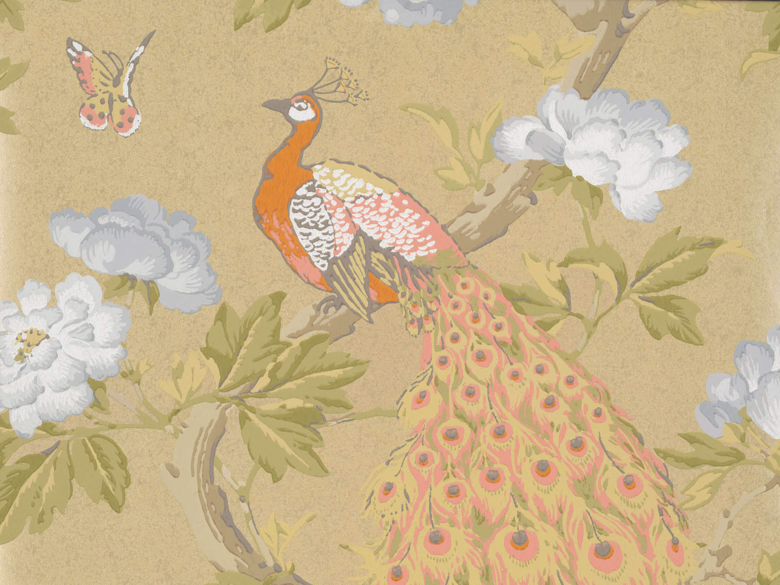 Little Greene Behang National Trust Papers Pavona - Gina