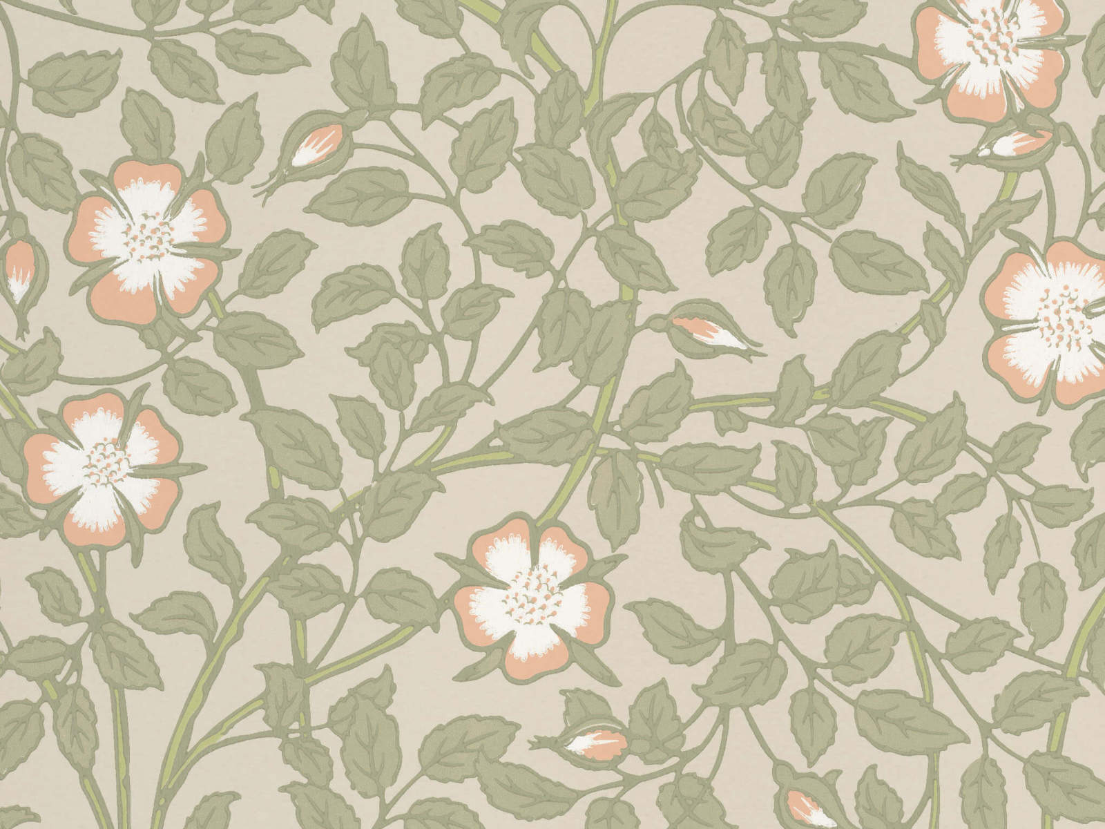 Little Greene Behang National Trust Papers III Briar Rose - Green Mist