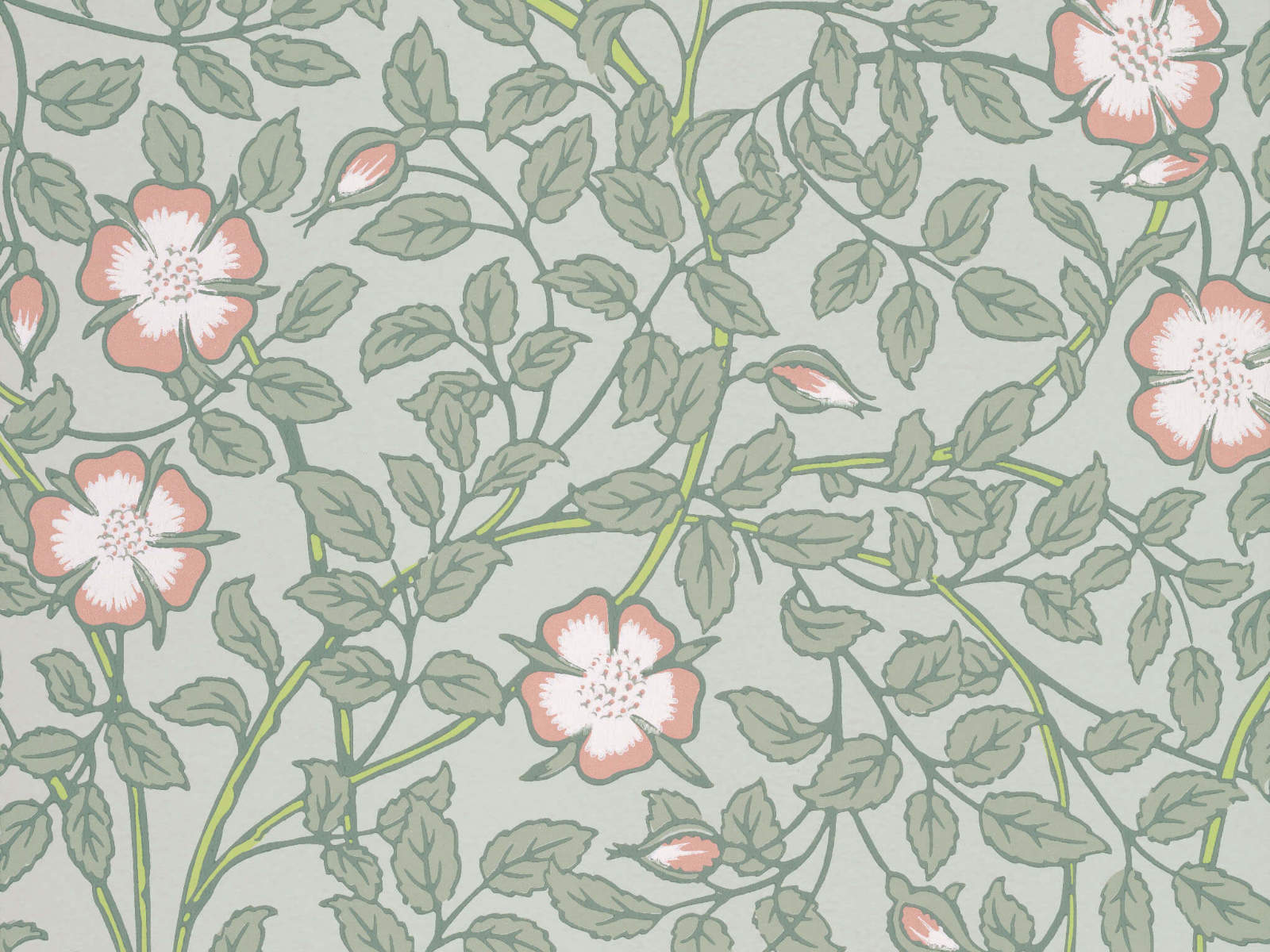 Little Greene Behang National Trust Papers III Briar Rose - Salix