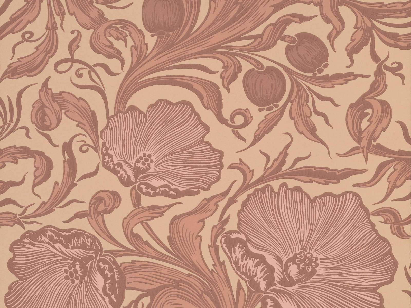 Little Greene Behang National Trust Papers III Poppy Trail - Masquerade