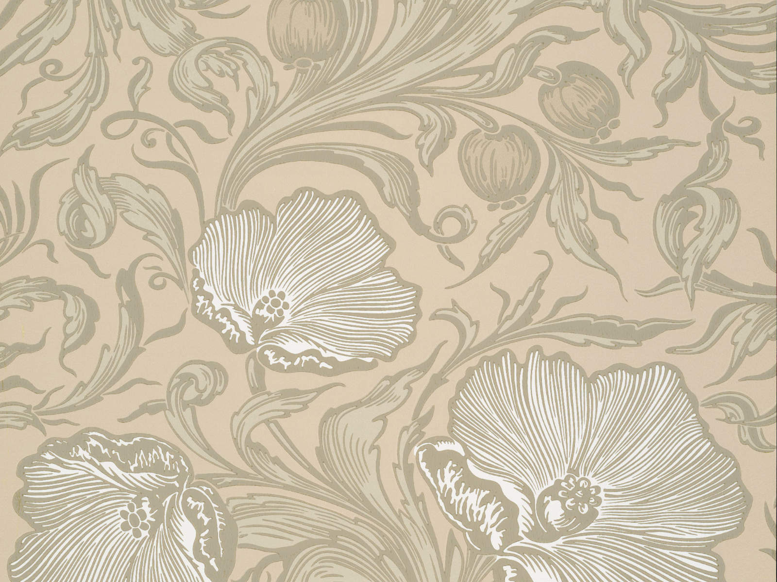 Little Greene Behang National Trust Papers III Poppy Trail - Portland Stone