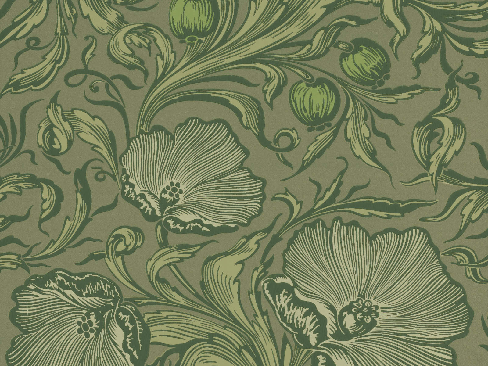 Little Greene Behang National Trust Papers III Poppy Trail - Sage Green