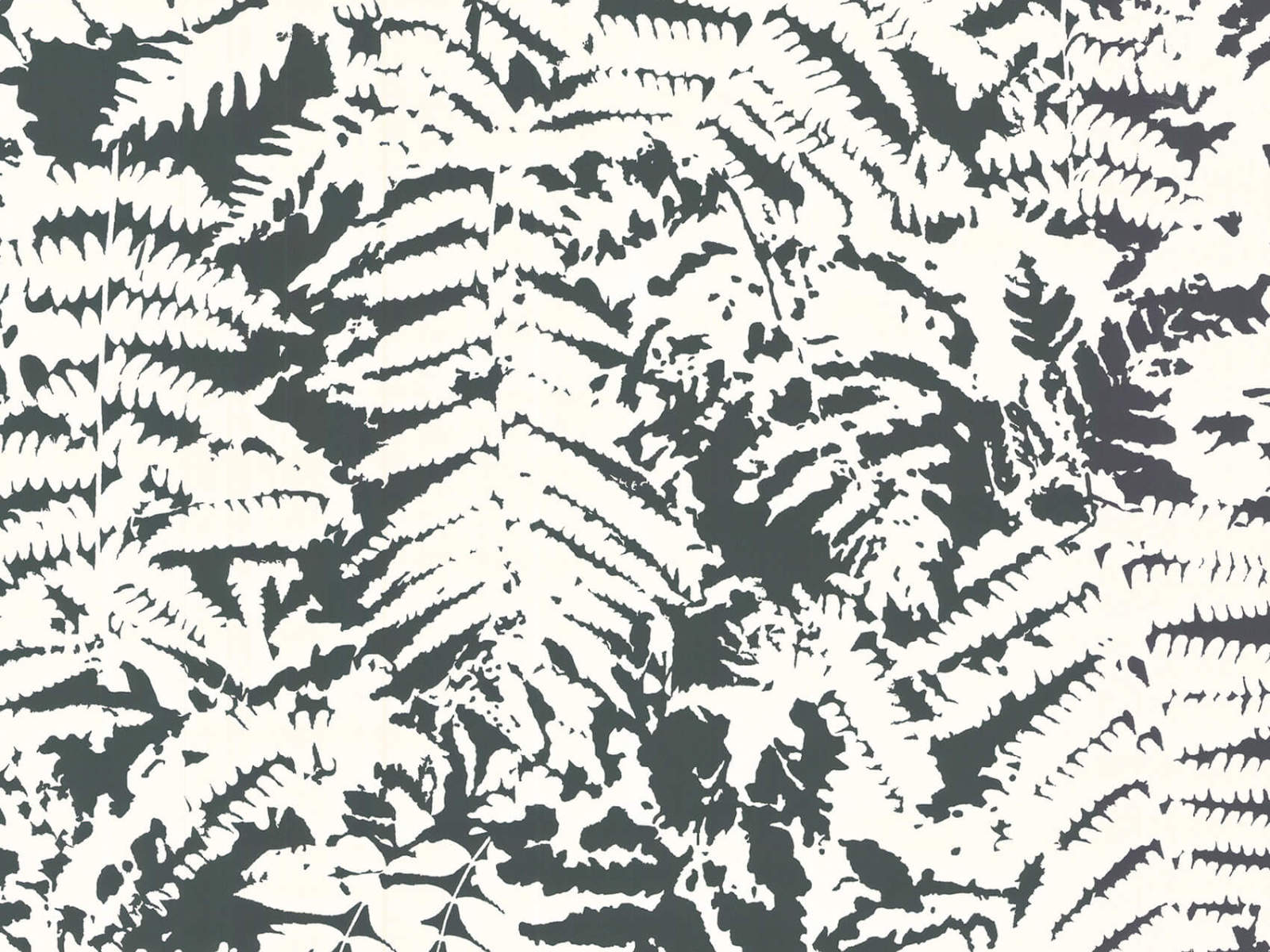 Little Greene Behang 20th Century Papers Fern - Off Black