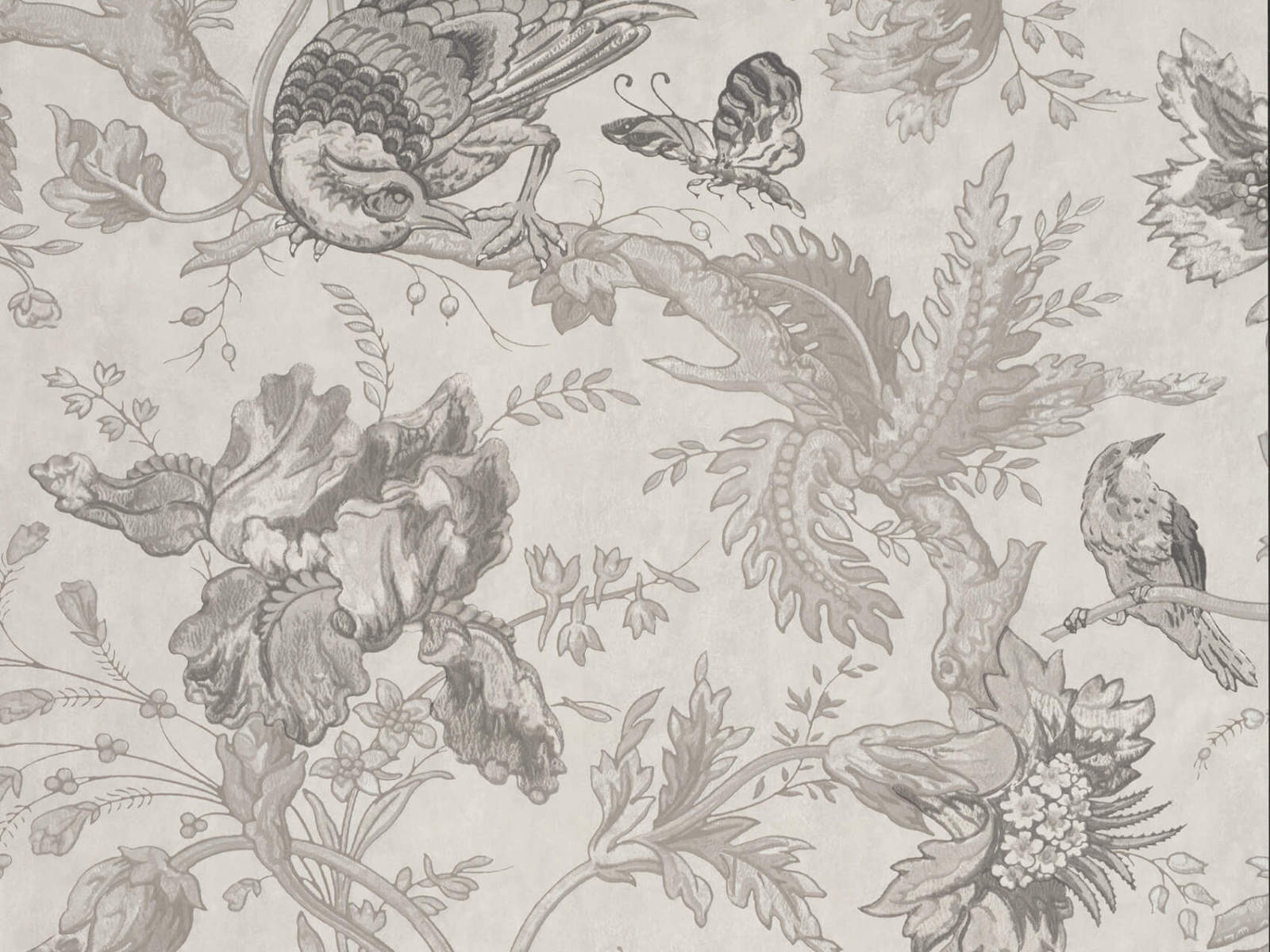 Little Greene Behang Archive Trails II Crowe Hall Lane - Nuage