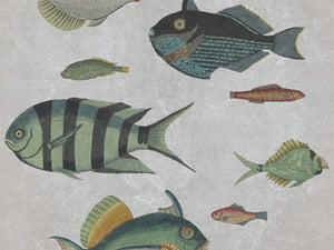 Mind The Gap Mediterraneo Poissons Grey - WP20182