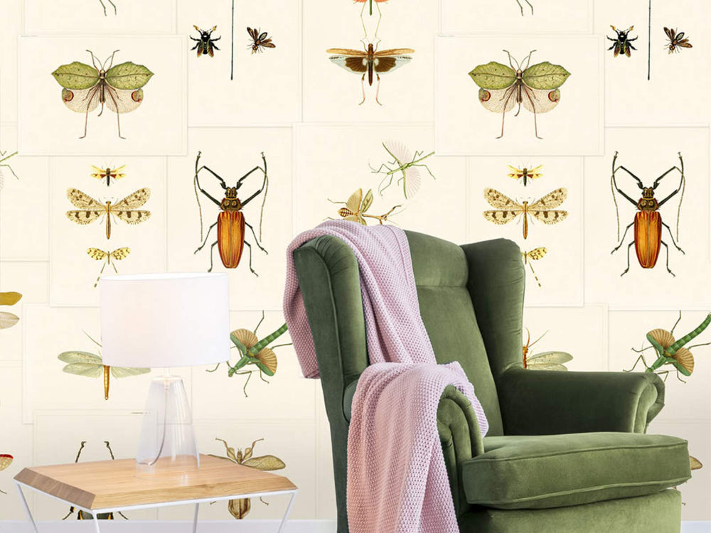 Mind The Gap The Antiquarian Entomology - WP20233