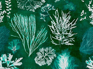 Mind The Gap Atoll Algae Moss - WP20296