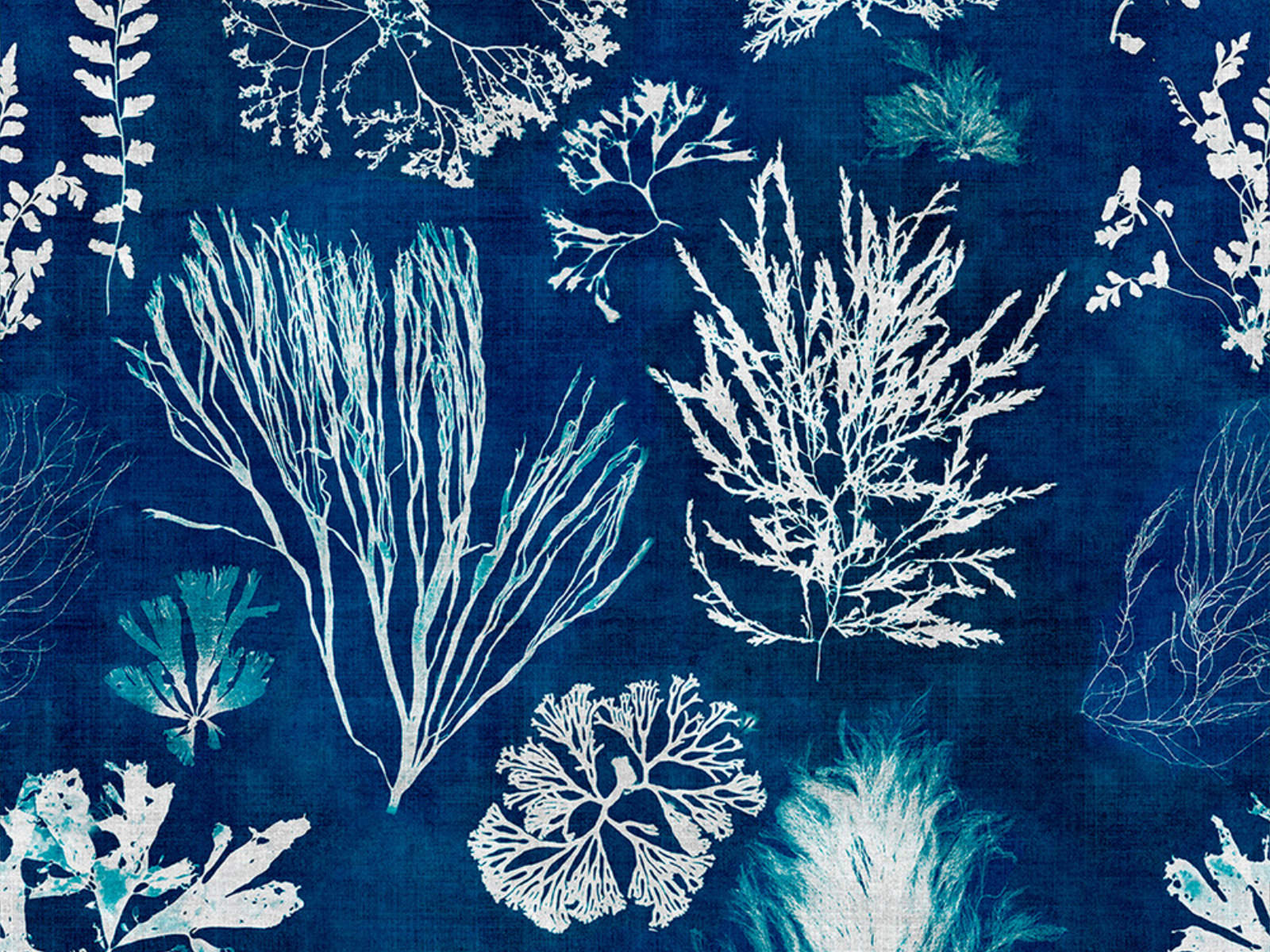 Mind The Gap Atoll Algae Navy Blue - WP20297