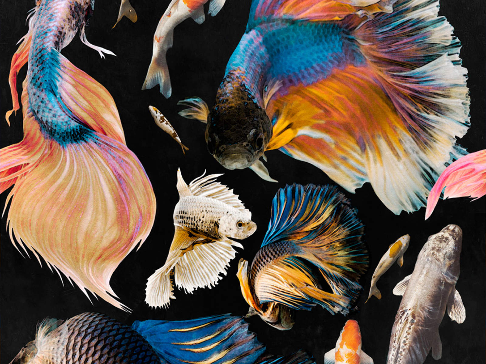 Mind The Gap Atoll Goldfish Anthracite - WP20301