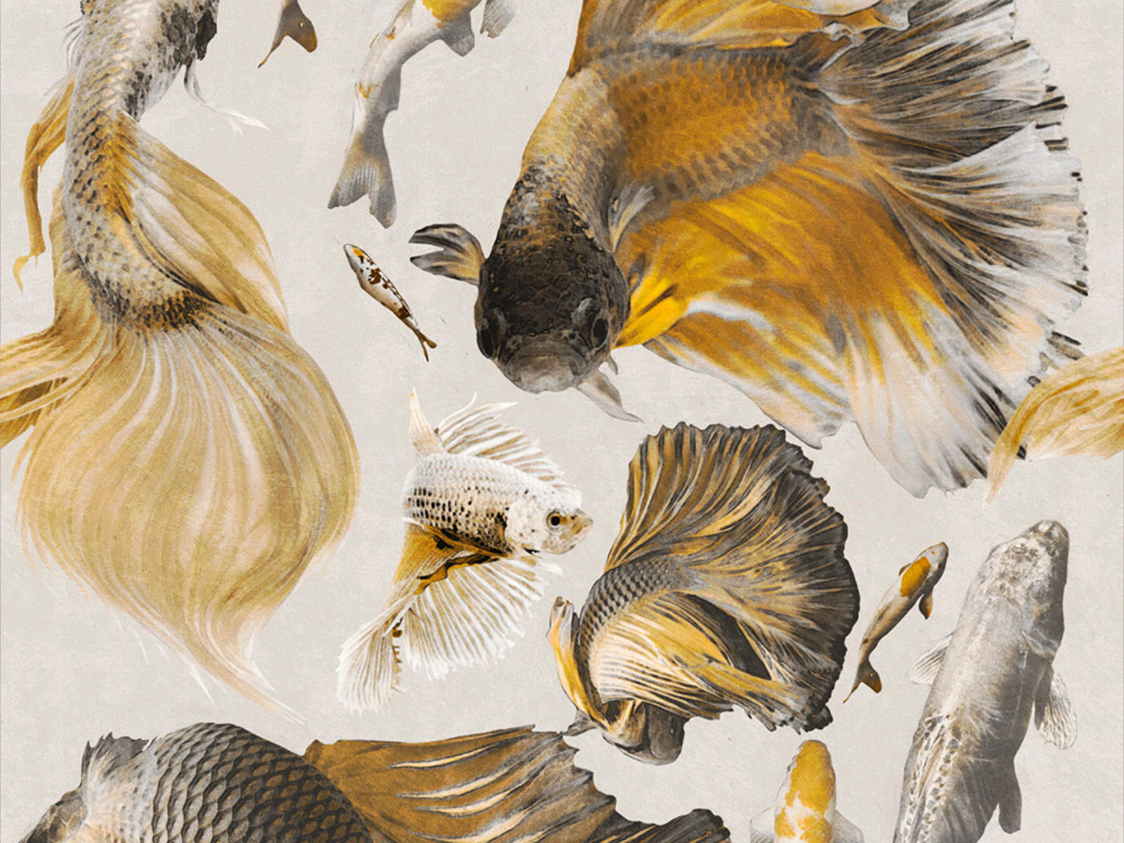 Mind The Gap Atoll Goldfish Ivory - WP20302