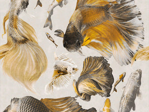 Mind The Gap Atoll Goldfish Ivory - WP20302