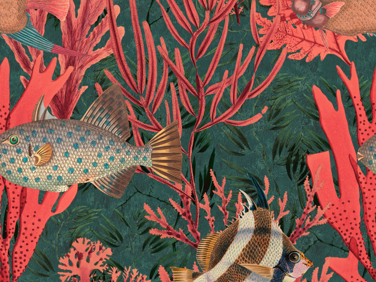 Mind The Gap Atoll The Undersea - WP20303