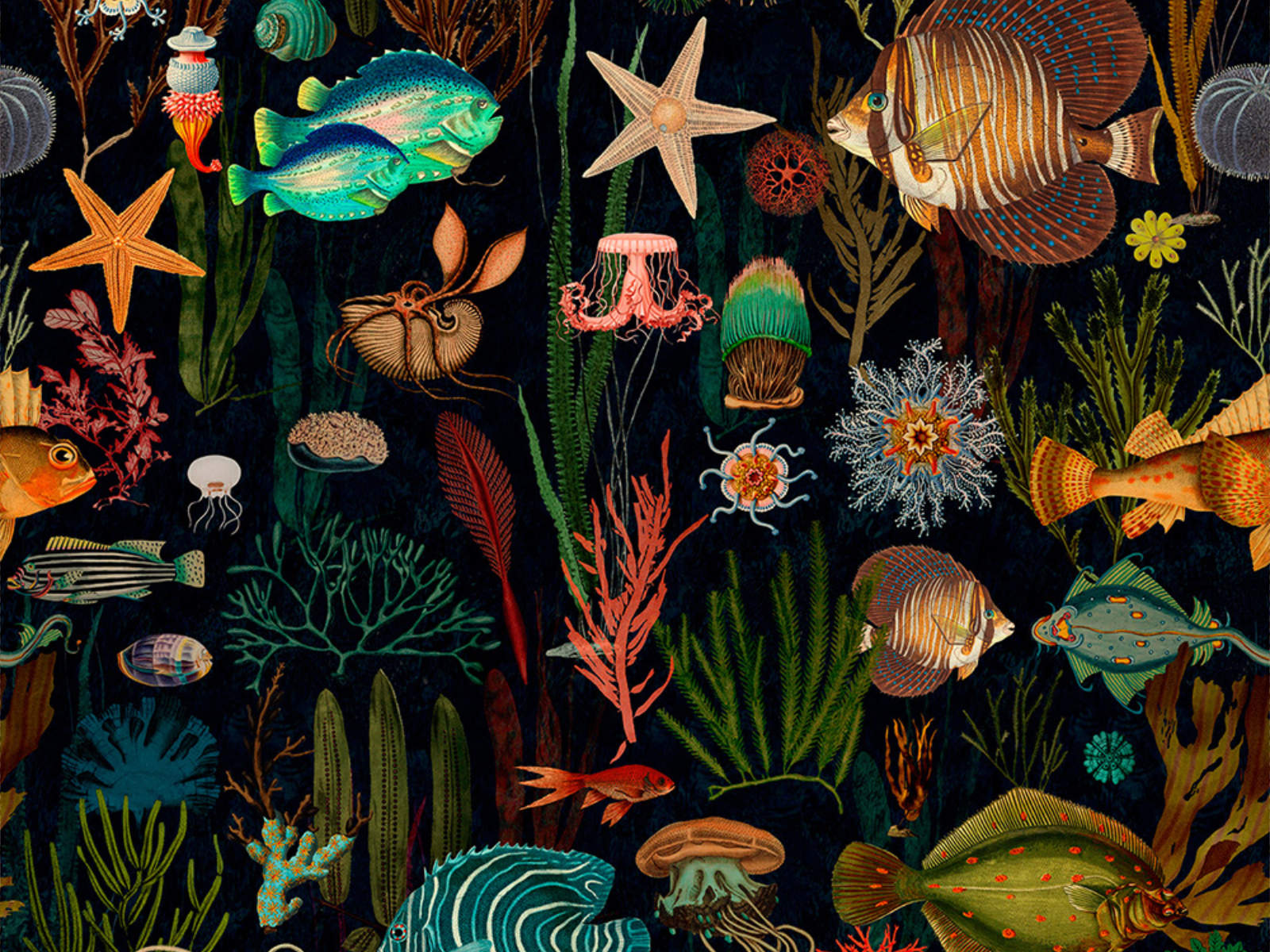 Mind The Gap Atoll Oceania - WP20304