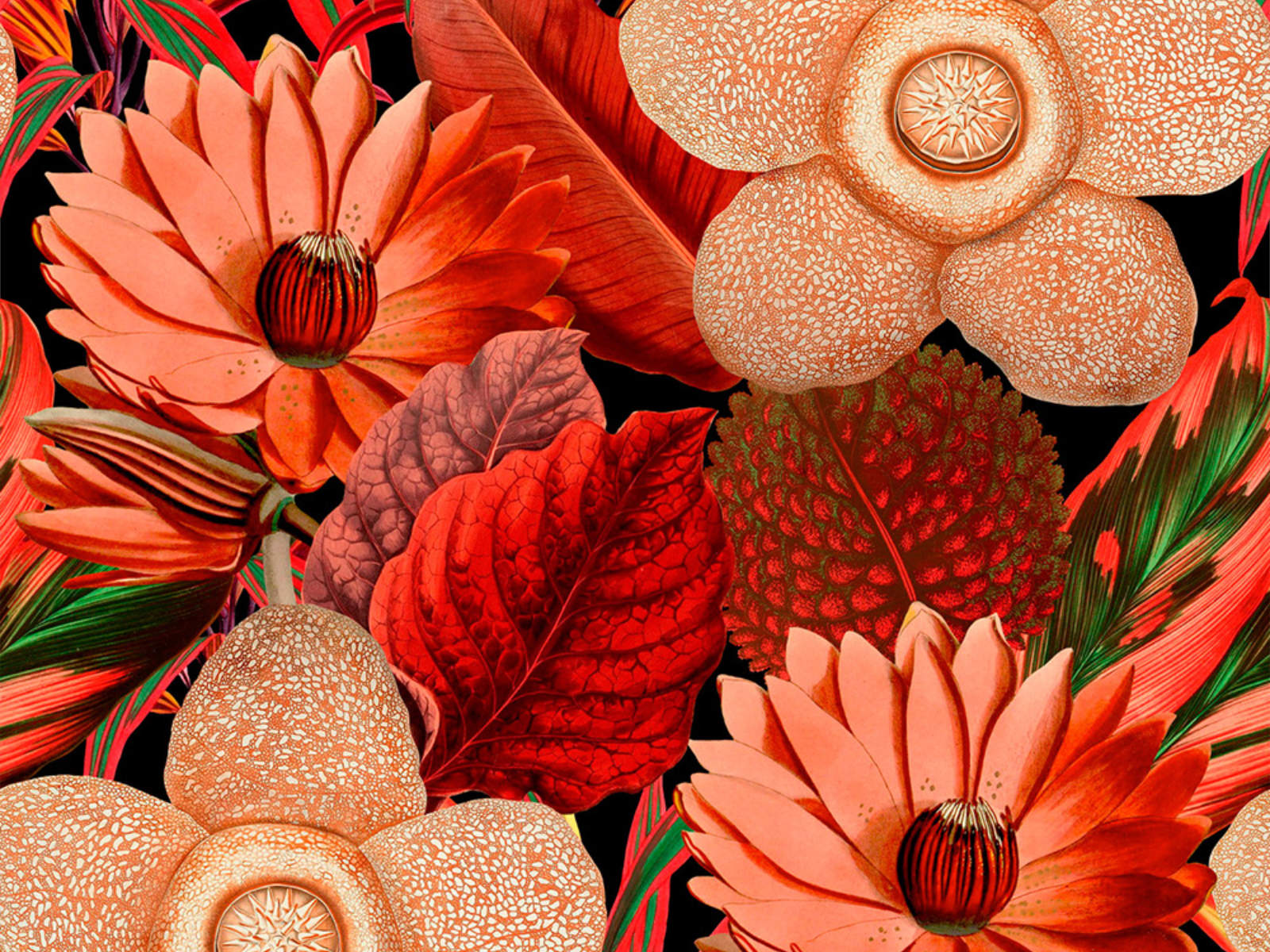 Mind The Gap Florilegium Water Lilies - WP20316