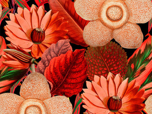 Mind The Gap Florilegium Water Lilies - WP20316