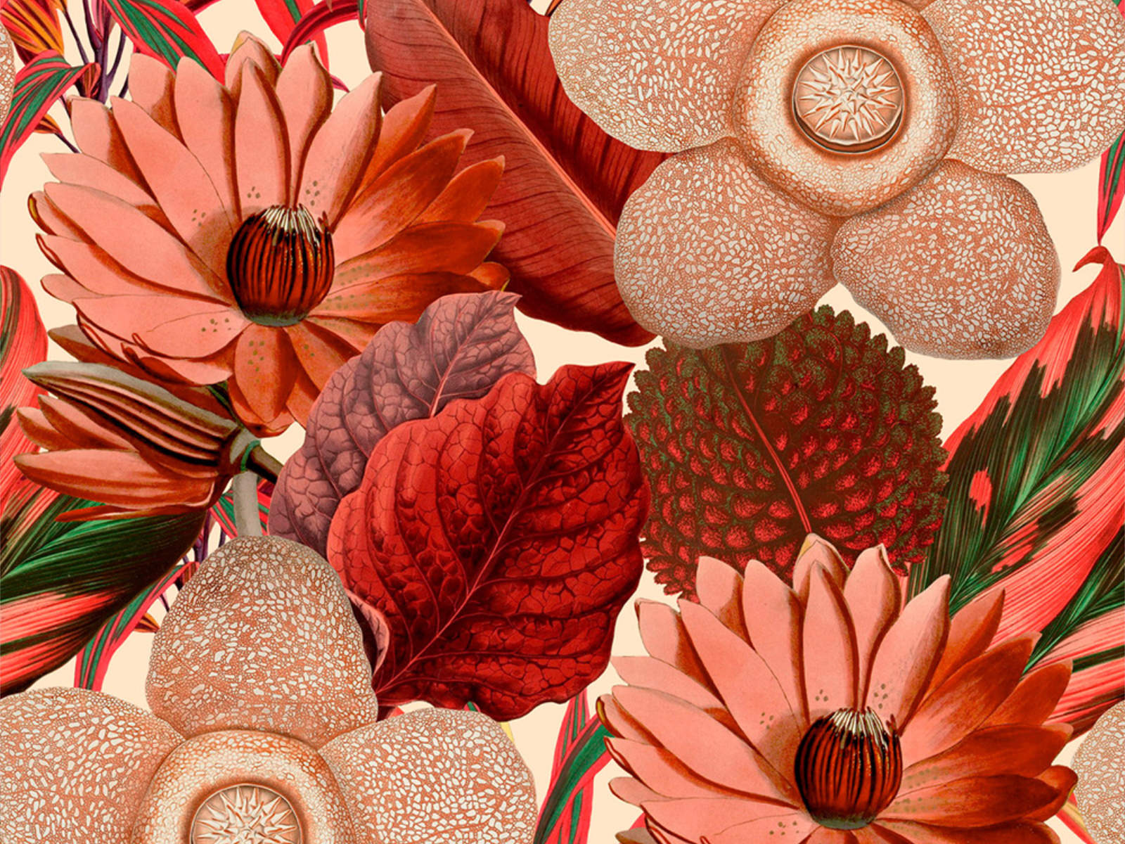 Mind The Gap Florilegium Water Lilies Taupe - WP20317