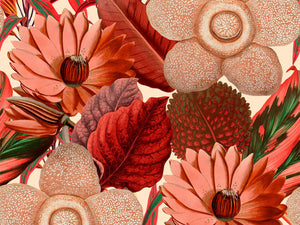 Mind The Gap Florilegium Water Lilies Taupe - WP20317