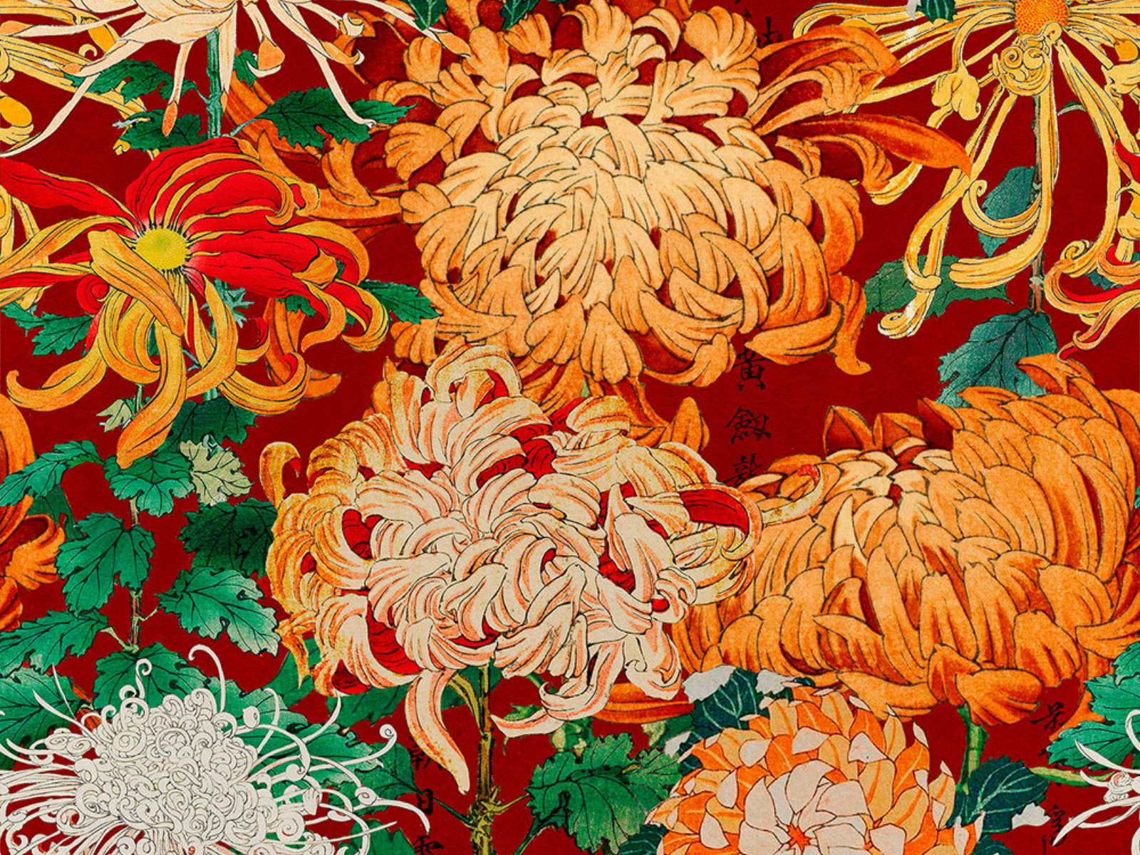 Mind The Gap Florilegium Chrysanthemums - WP20320