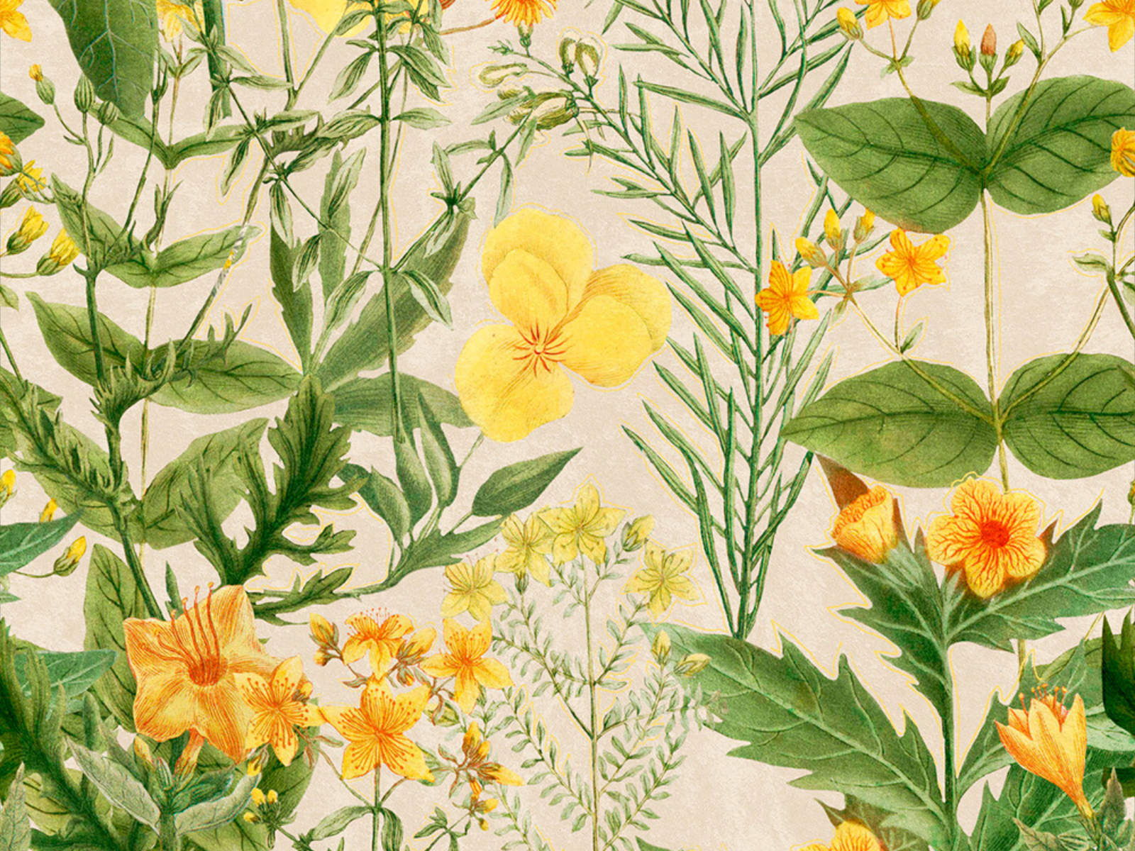 Mind The Gap Florilegium Mimulus - WP20323