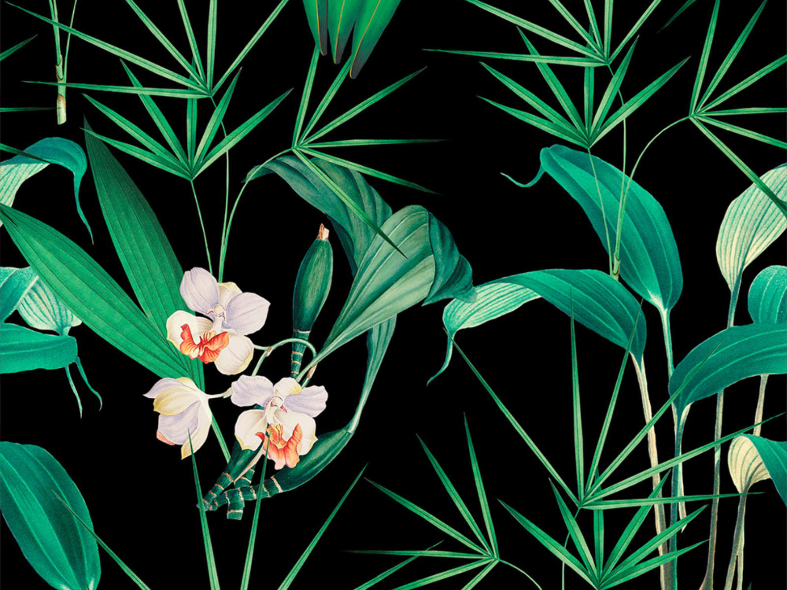 Mind The Gap Palm Springs Palm Springs Anthracite - WP20360