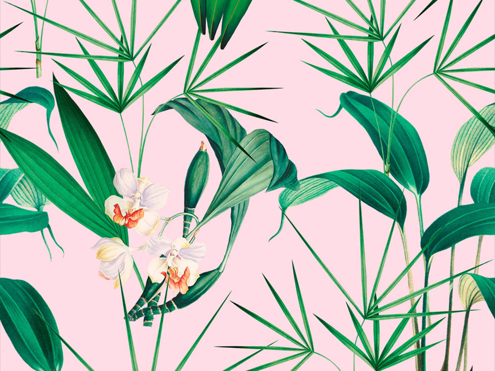 Mind The Gap Palm Springs Palm Springs - WP20361