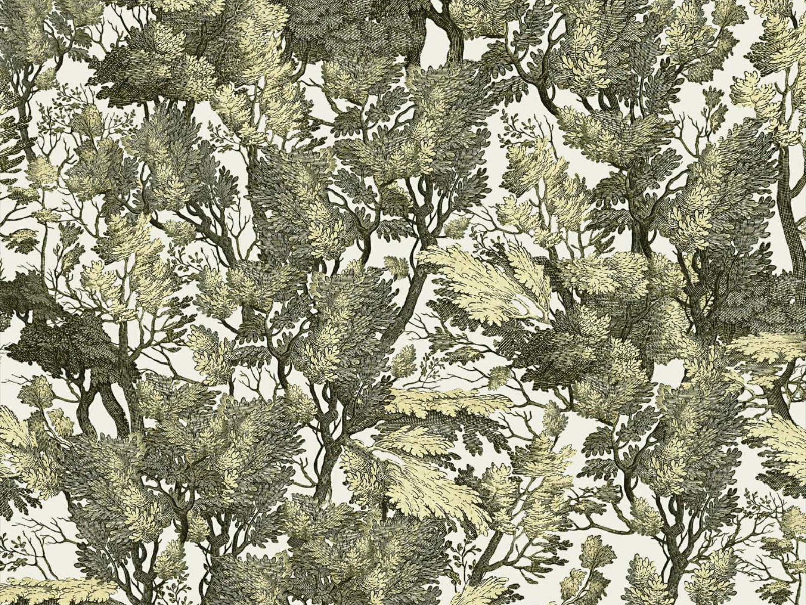 Mind The Gap The Royal Garden Tree Foliage - WP20481