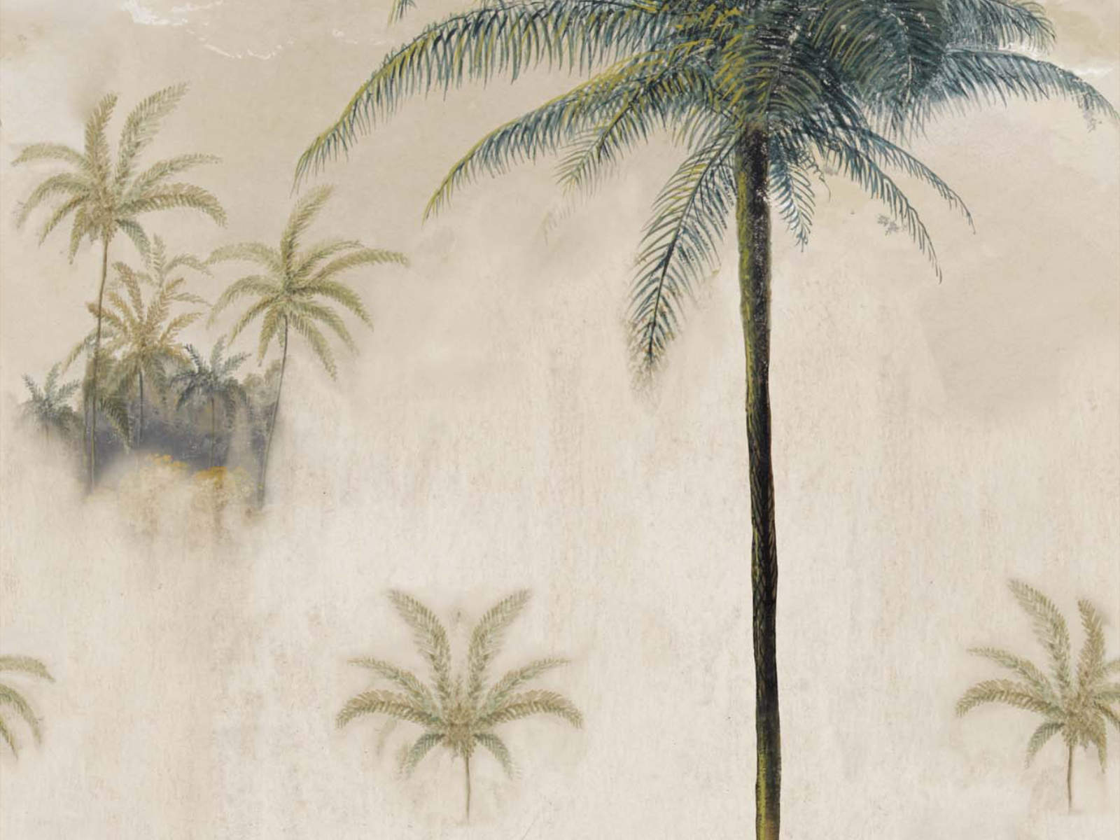 Mind The Gap Cubana Cayo Largo - WP20489