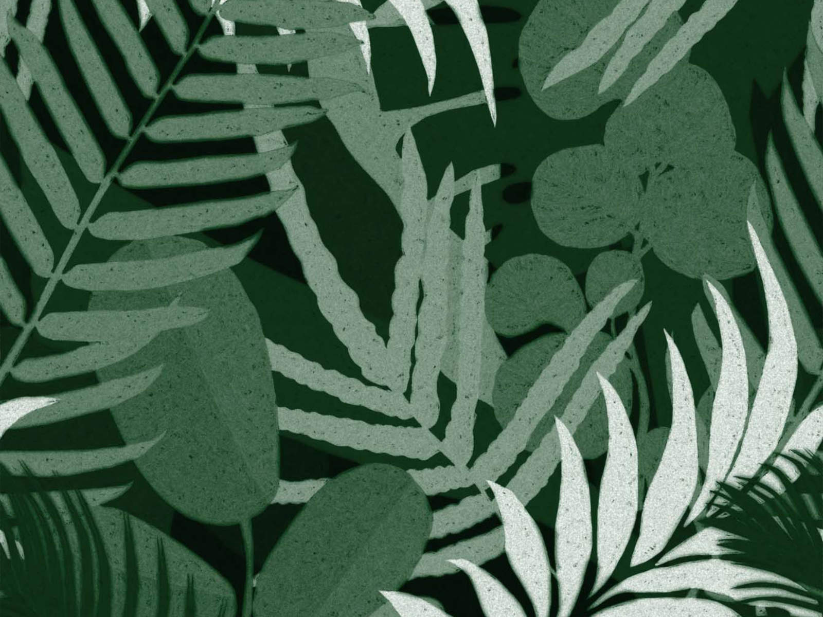 Mind The Gap Cubana Jardin Del Sol Green - WP20492