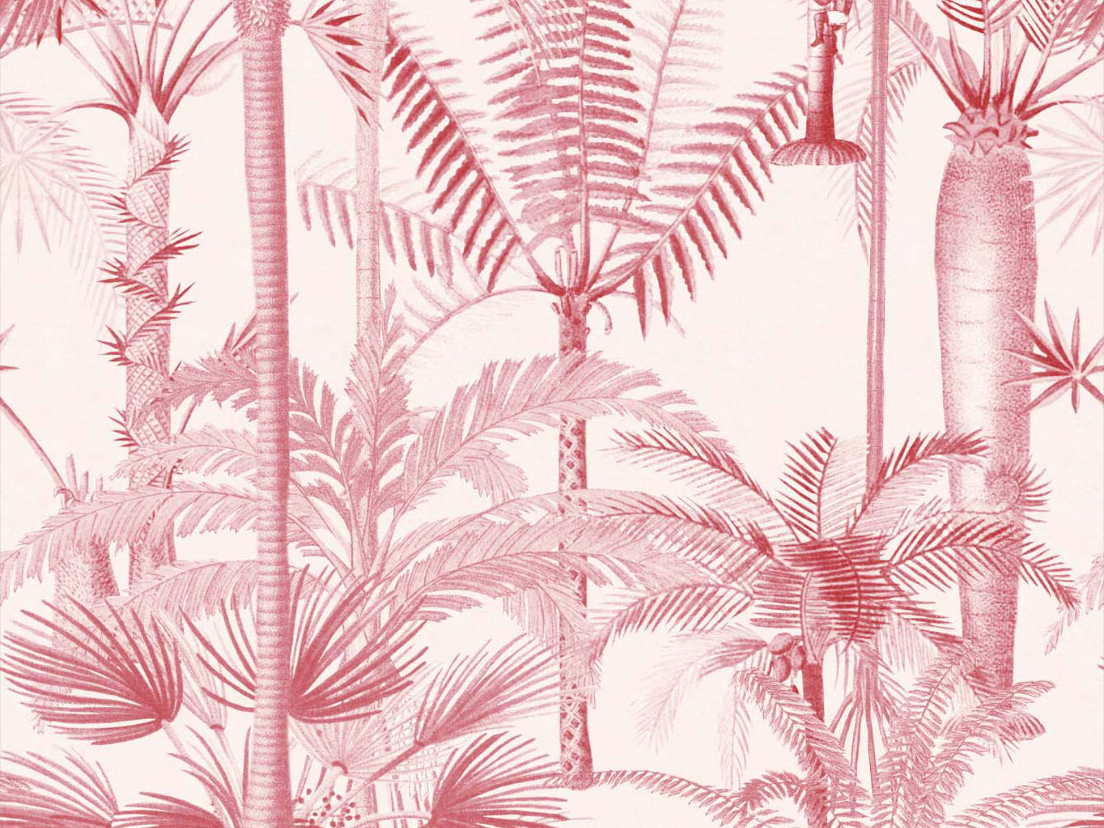 Mind The Gap Cubana Palmera Cubana Pink - WP20497