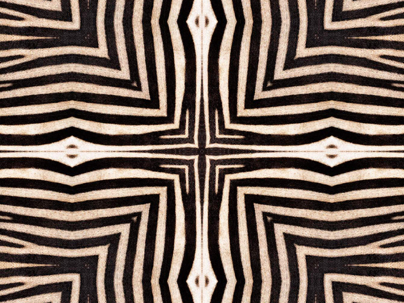 Mind The Gap Origins Serengeti - WP20505