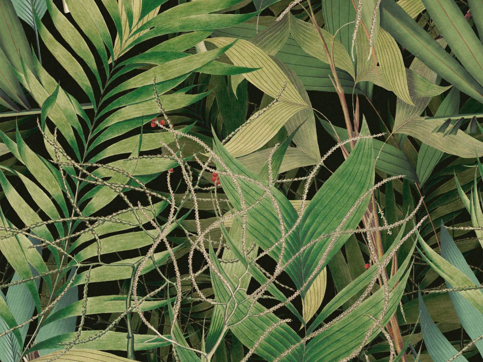 Mind The Gap Tropical Wanderlust Exotic Garden - WP20515