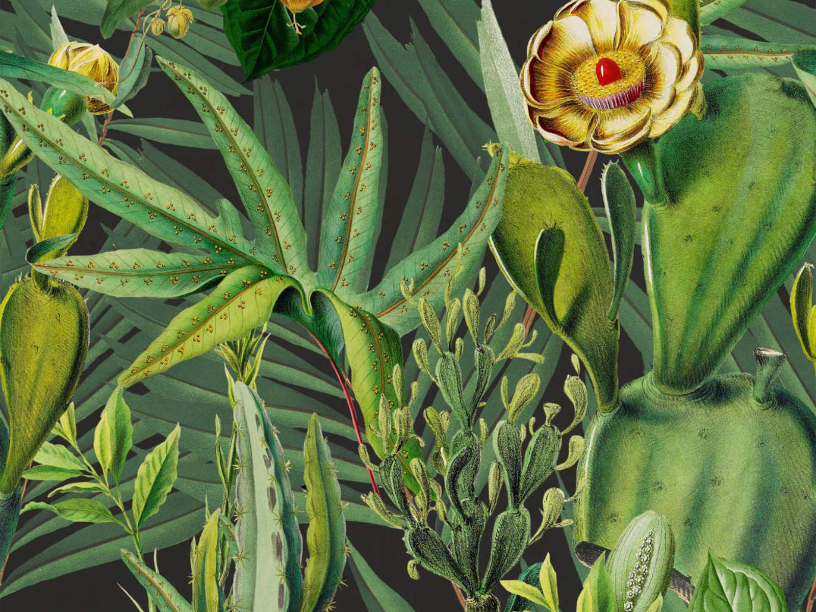 Mind The Gap Tropical Wanderlust Luscious Flora - WP20518