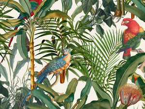 Mind The Gap Tropical Wanderlust Parrots Of Brasil - WP20521