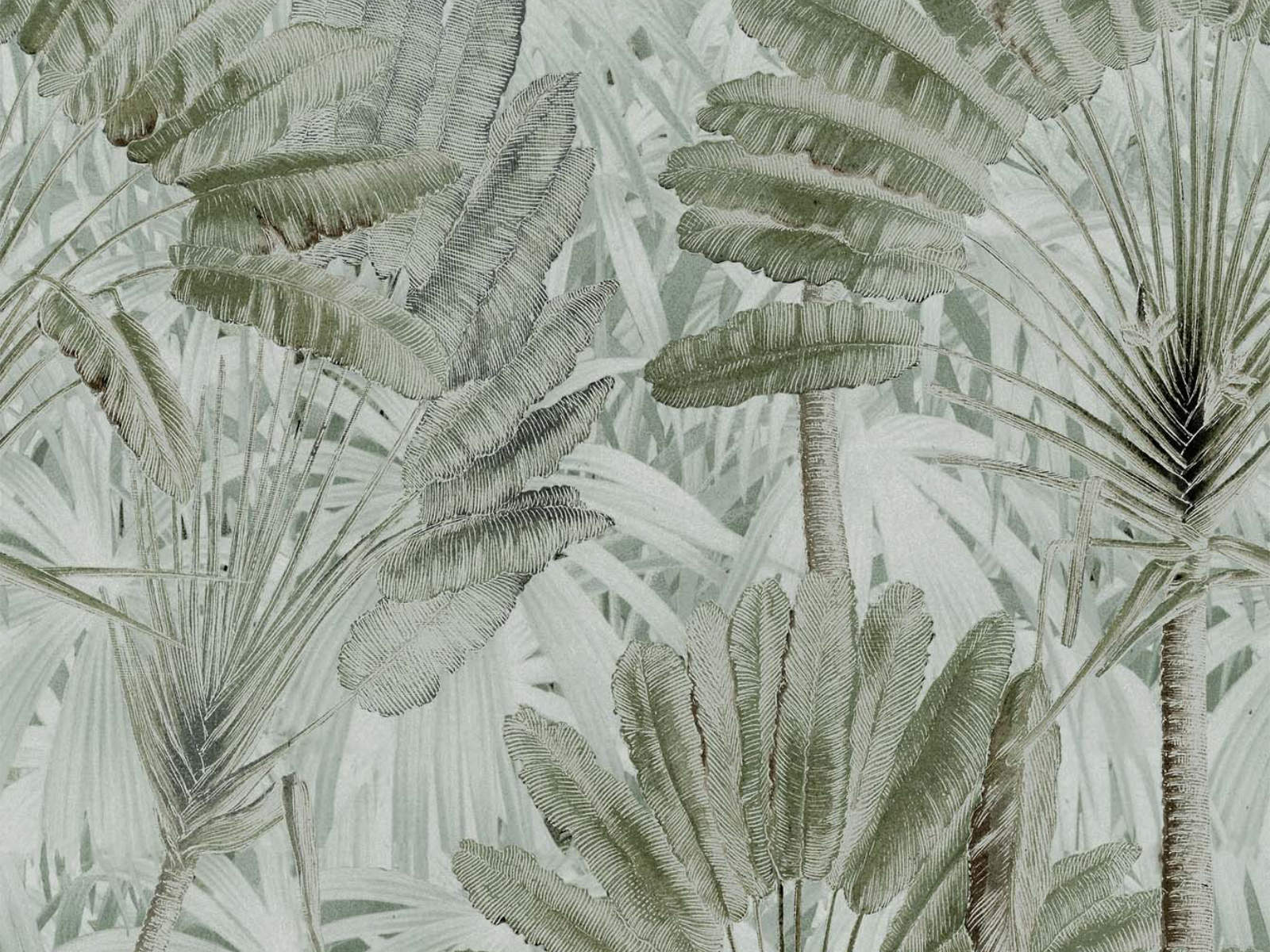 Mind The Gap Tropical Wanderlust Traveller's Palm Neutral - WP20525