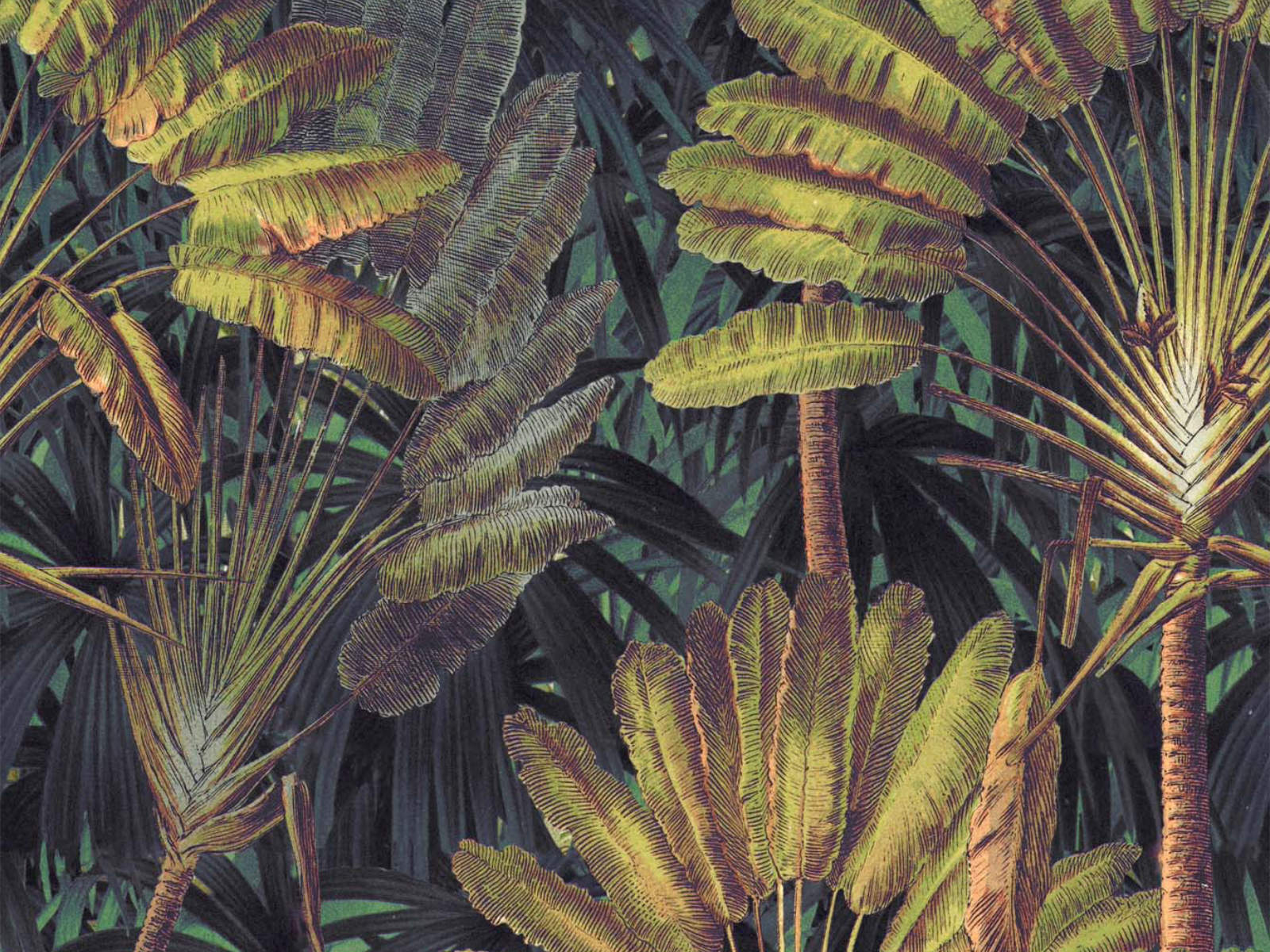 Mind The Gap Tropical Wanderlust Traveller's Palm Sunset - WP20526